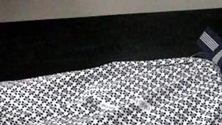 Skinny cagna si sedette su un enorme cazzo ragazzo xxx massaggi italiani